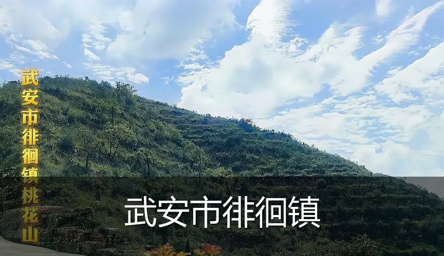武安市徘徊镇
